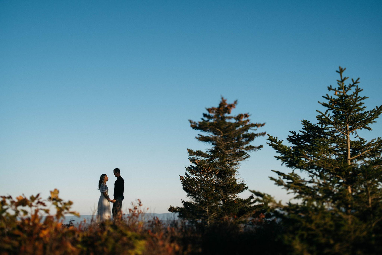 The Wedding Website of Kate Queen and Cruz Crookshanks