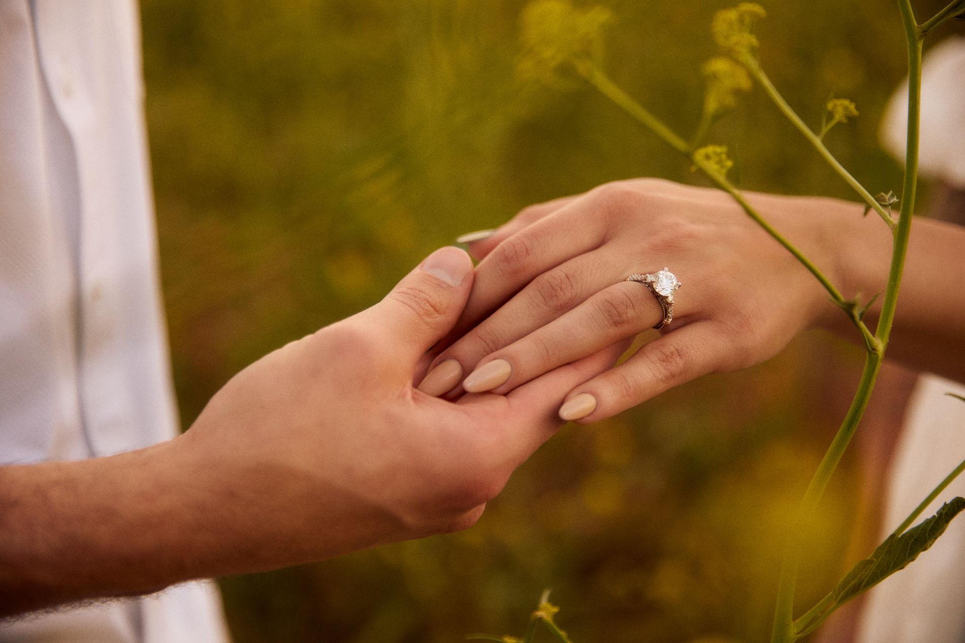 The Wedding Website of Michael Alvarez and Ani Kourchians