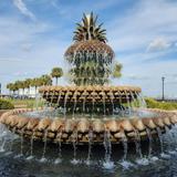 Pineapple Fountain