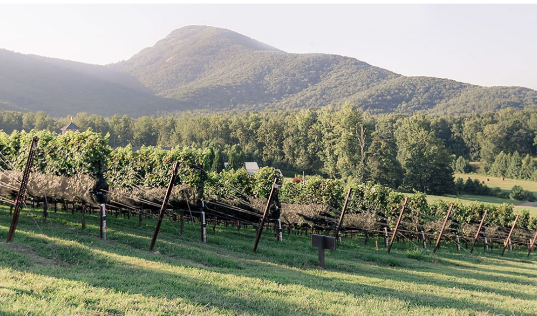The Wedding Website of Maggie Kahn and Jake Wiley