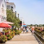 Shopping & Local Finds