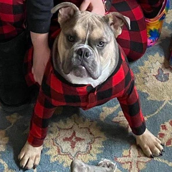 Our Boy's First Christmas