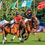 Newport International Polo