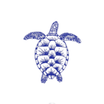 Turtle Hospital