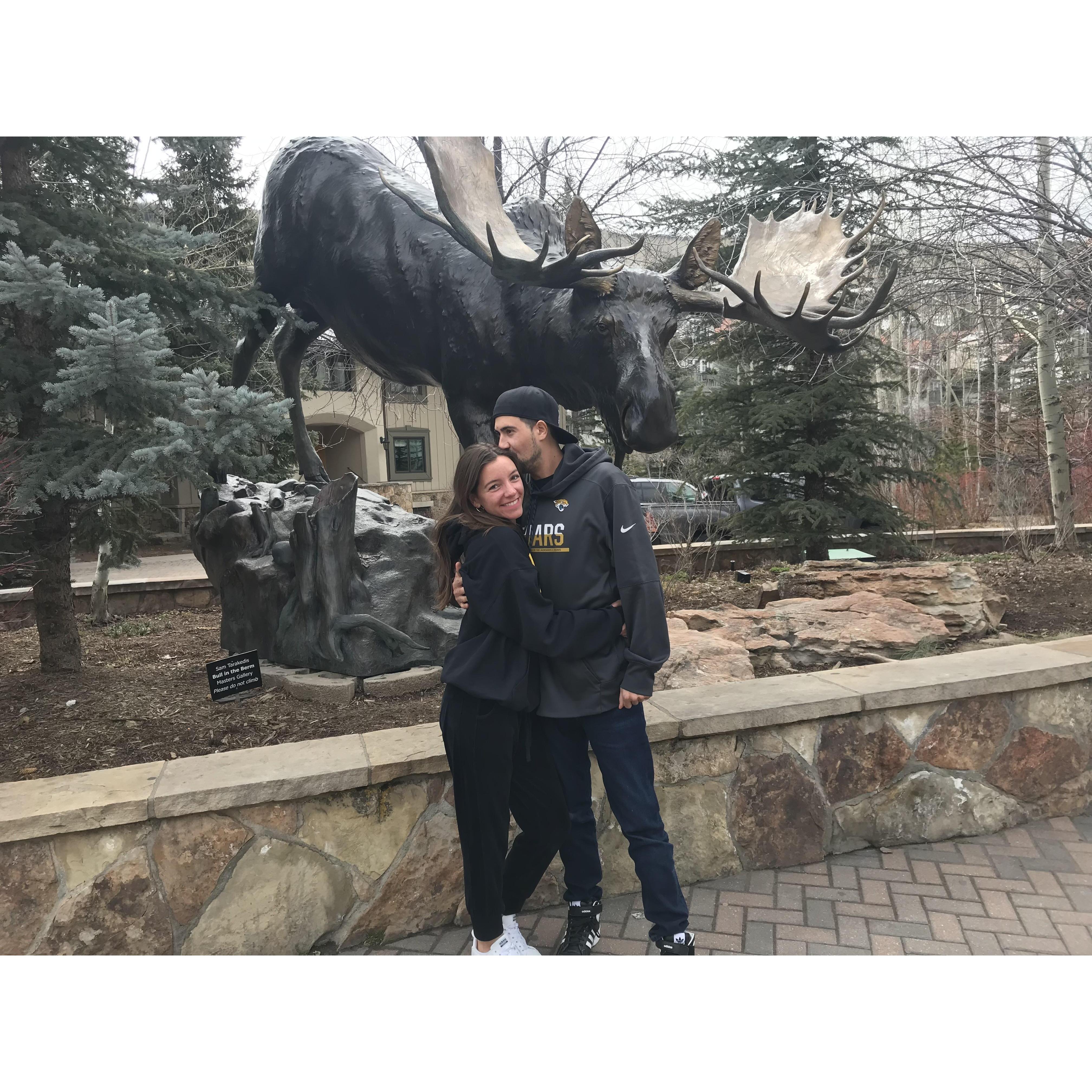 Moose Pic !