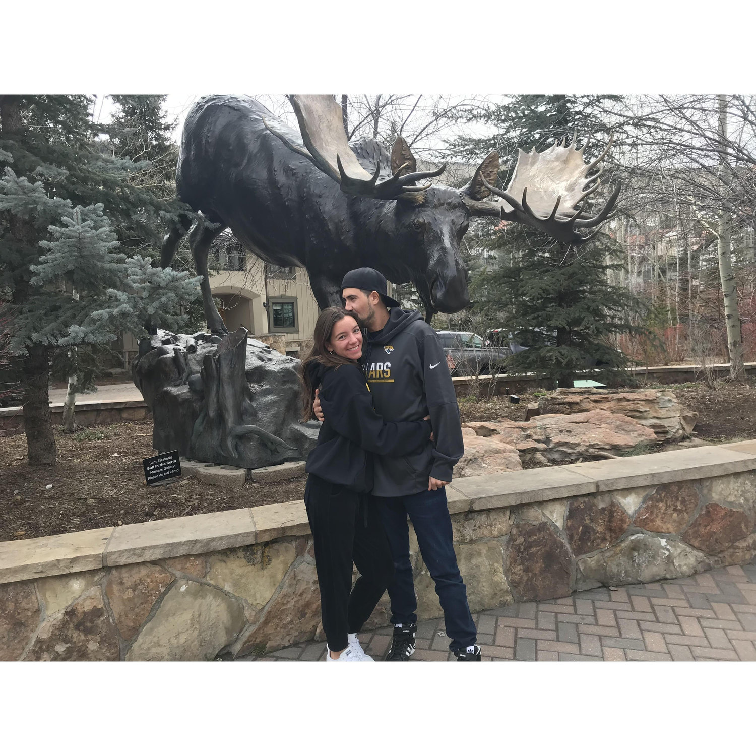 Moose Pic !
