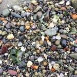 North Beach County Park