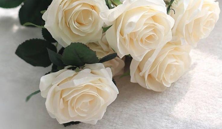 The Wedding Website of Taylor Ogle and Tristan Ogle Sr.