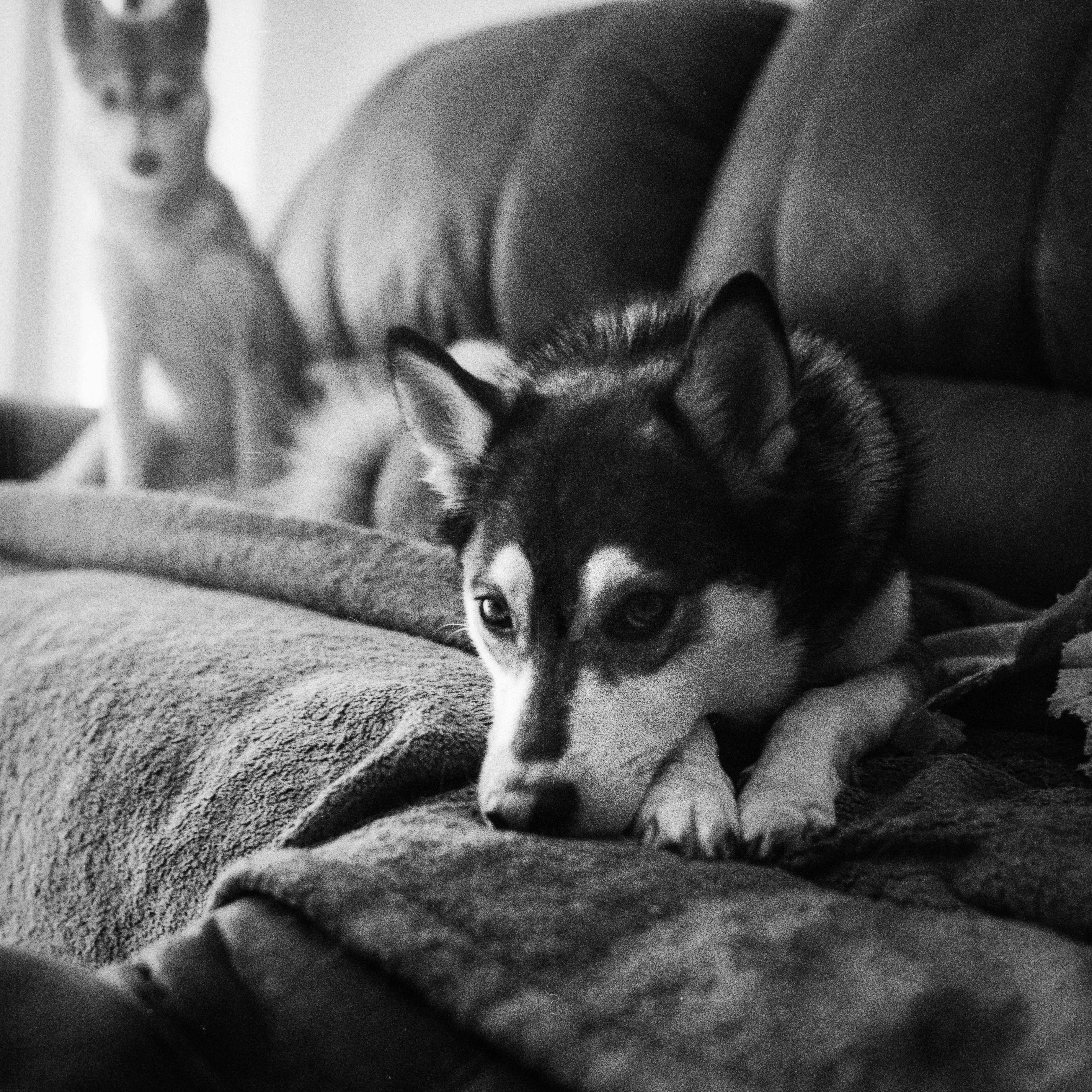 Our girls