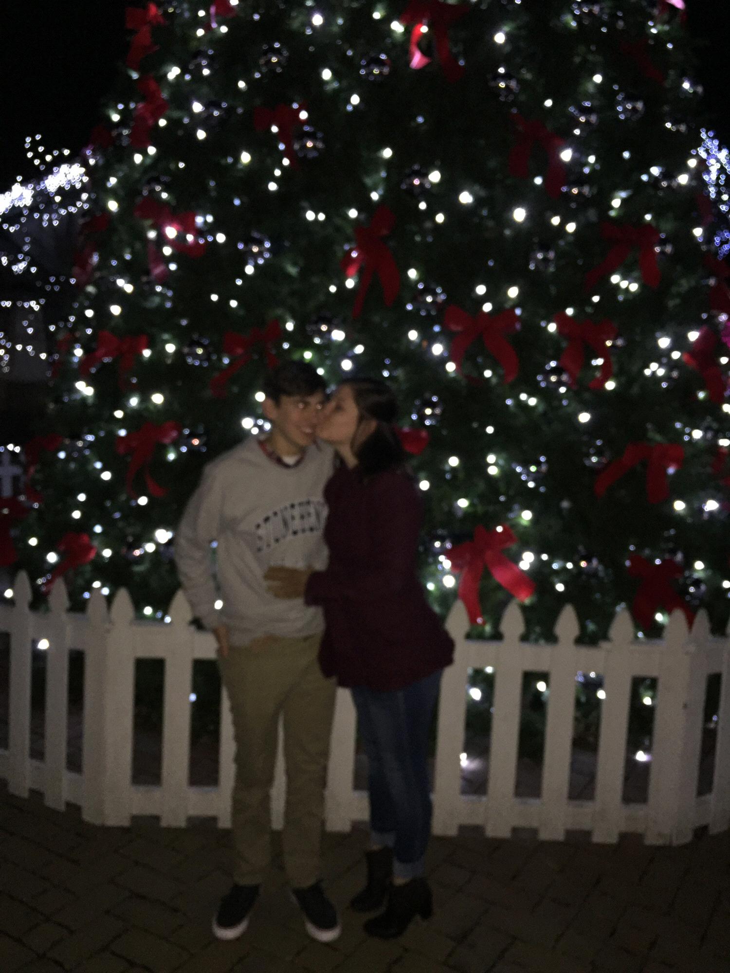 Annual Festival of Lights Date, December 2017