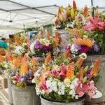 Santa Barbara Farmers Market // Saturday