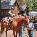 Aspen Meadow Pack Station
