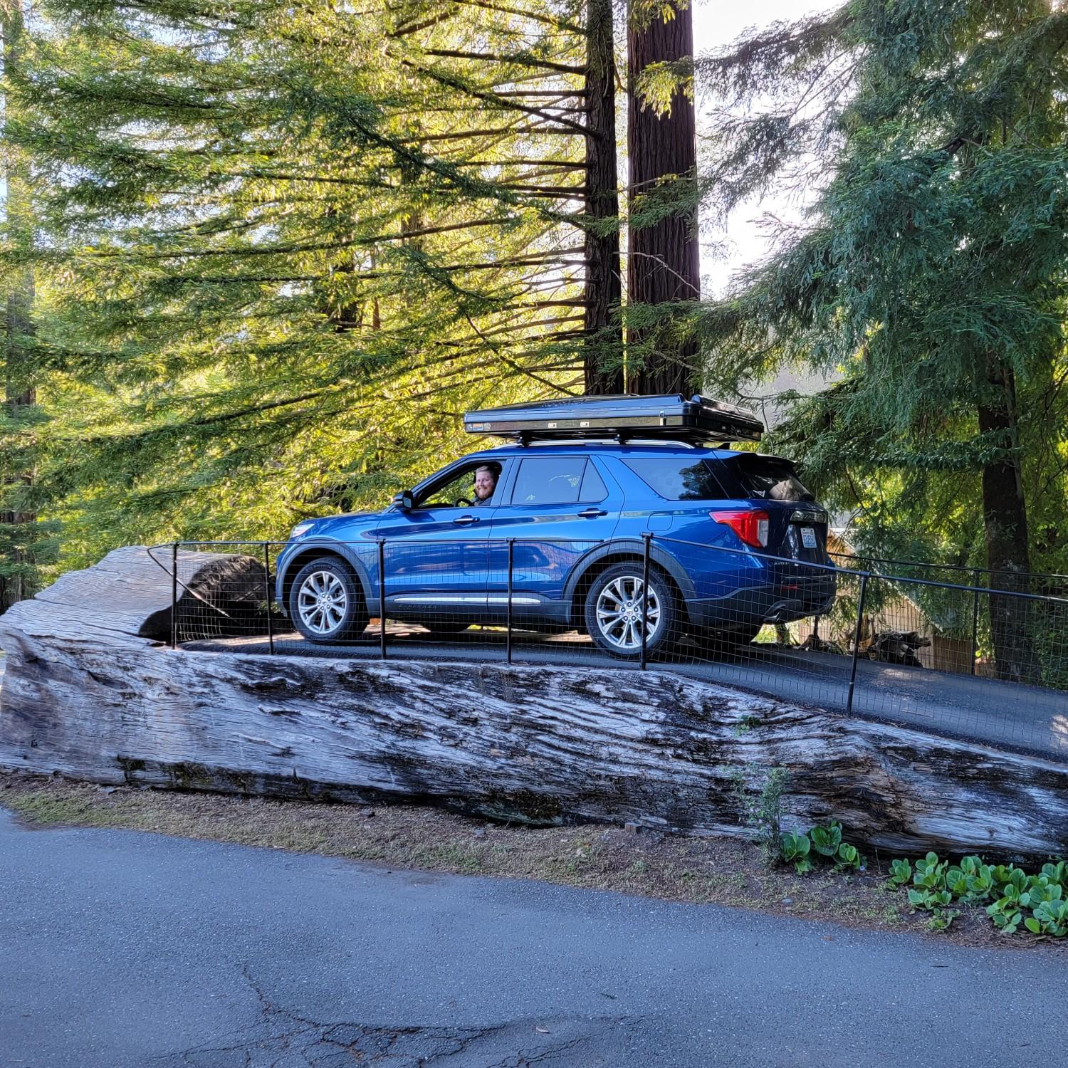 "Drive up log" Off Redwood Ave