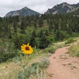NCAR Trail Head