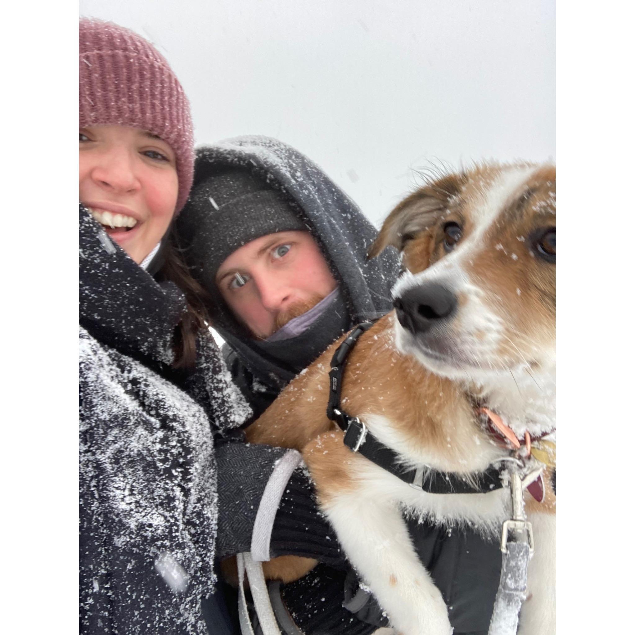 We adopted our dog Iggy in October 2020. This was our first winter together - she loved running in the snow.