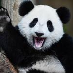 San Diego Zoo