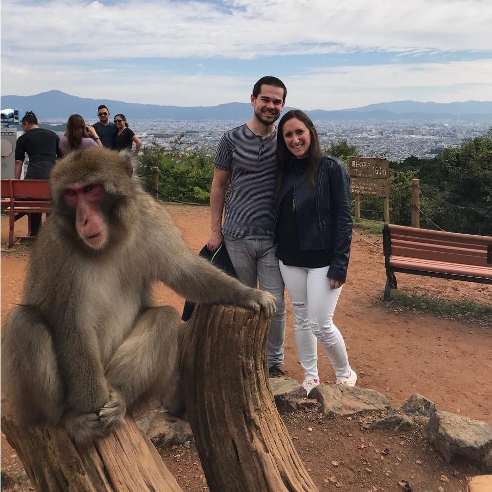 More adventures with animal friends!