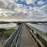 Hike/Kayak Elkhorn Slough