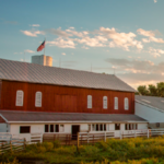 Young's Jersey Dairy