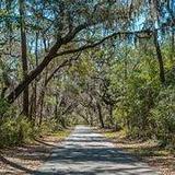 Spanish Moss Trail