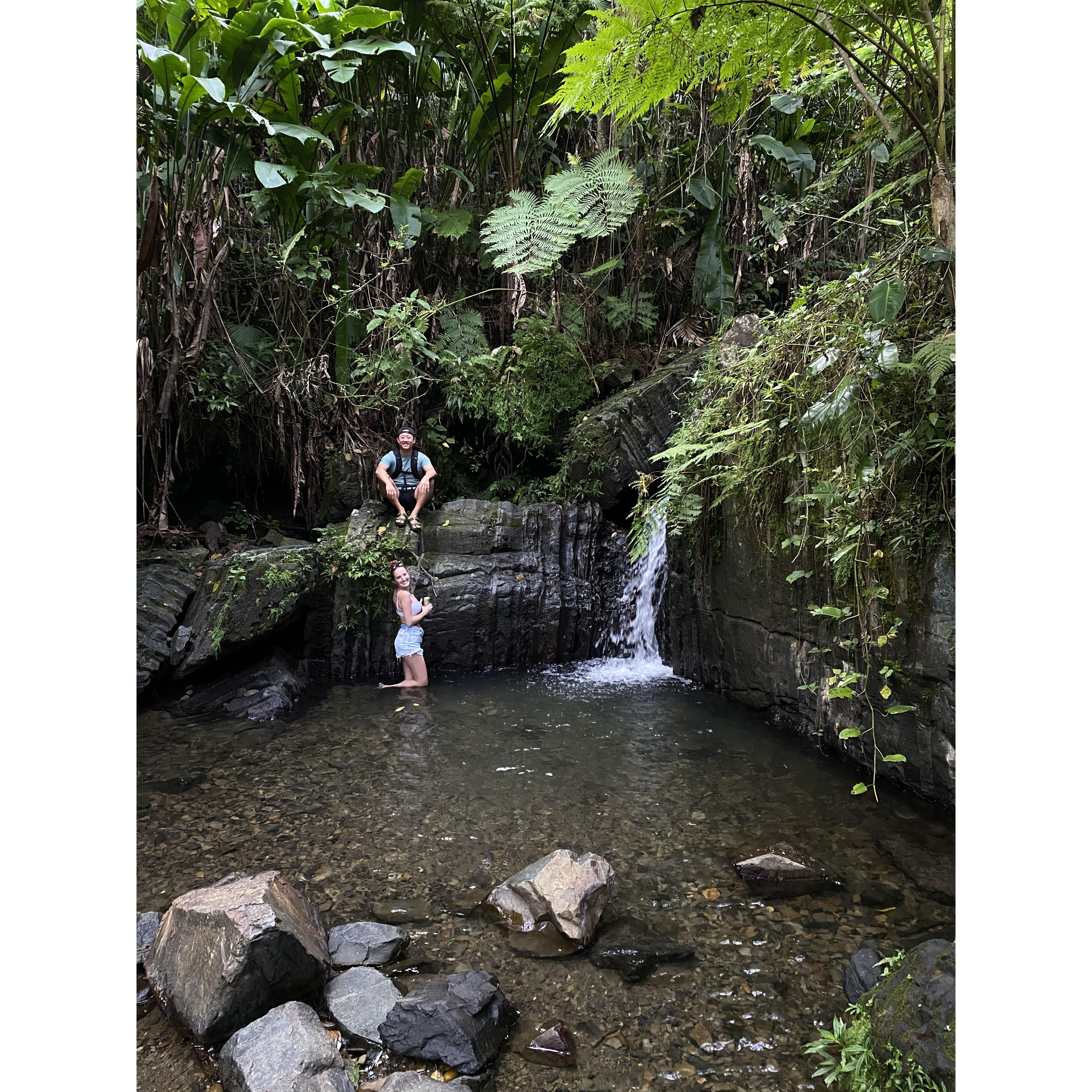 El Yunque Puerto Rico