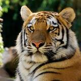 Philadelphia Zoo