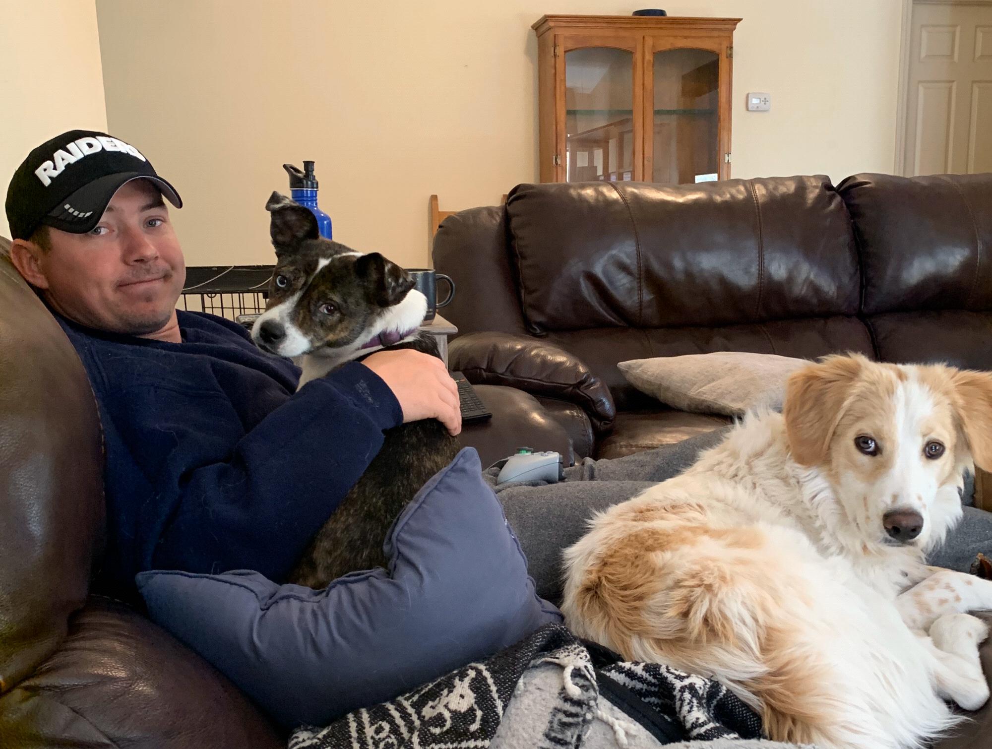 Matt watching football with the dogs