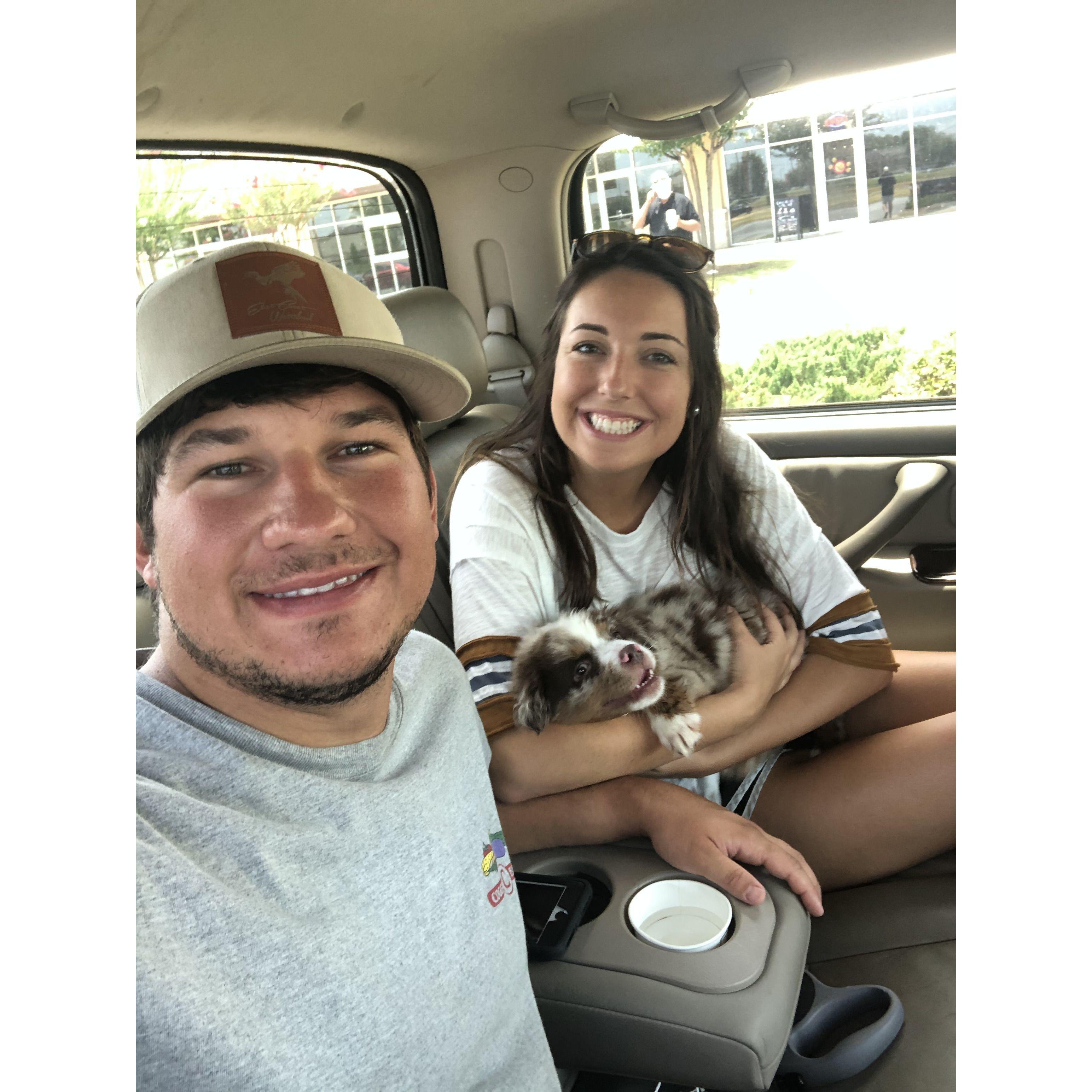 Mitchel surprised Charley with Zuke right in the middle of the pandemic. Our world has been centered around him ever since.