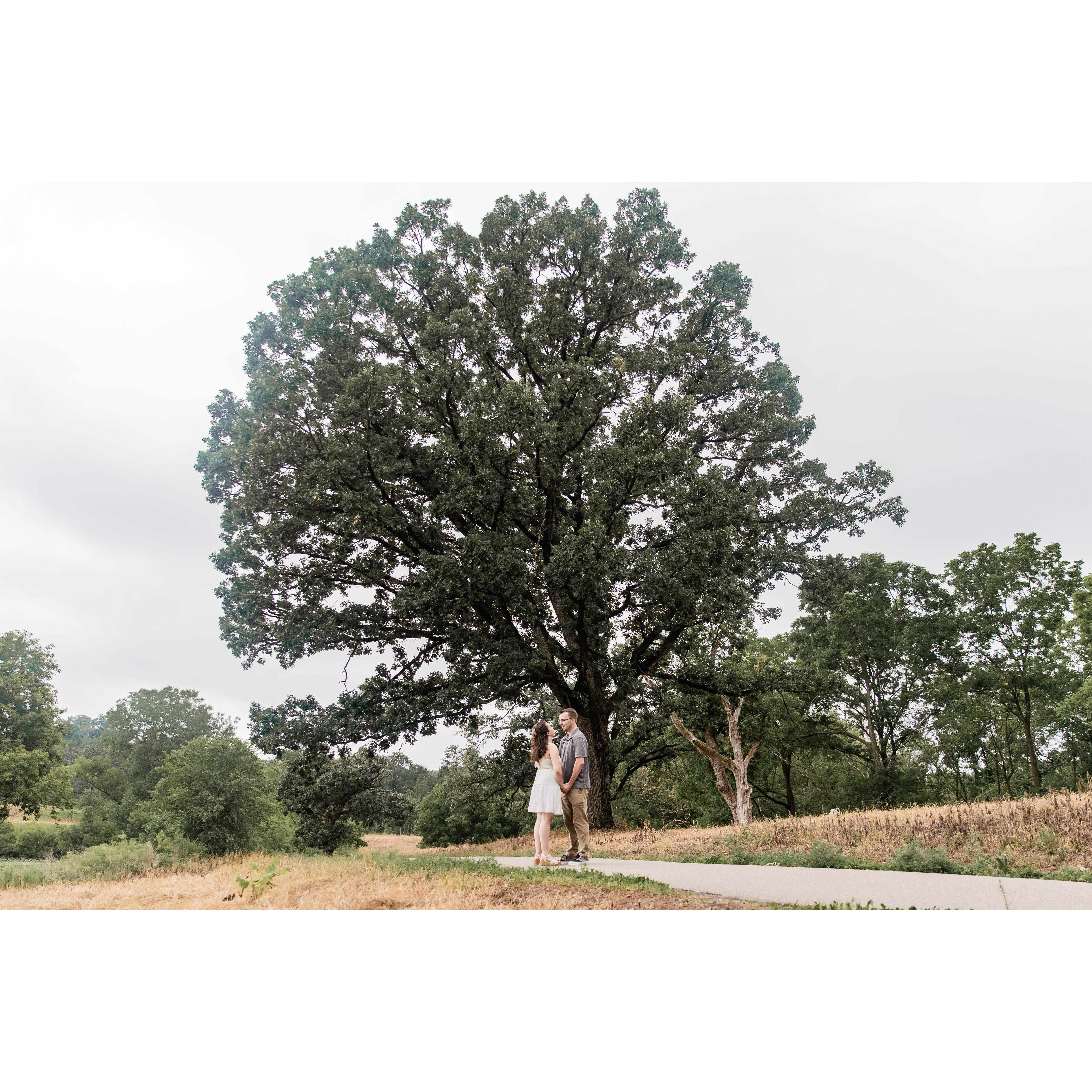 Engagement photos at Lebanon Hills in Eagan.