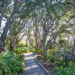 San Diego Botanic Garden