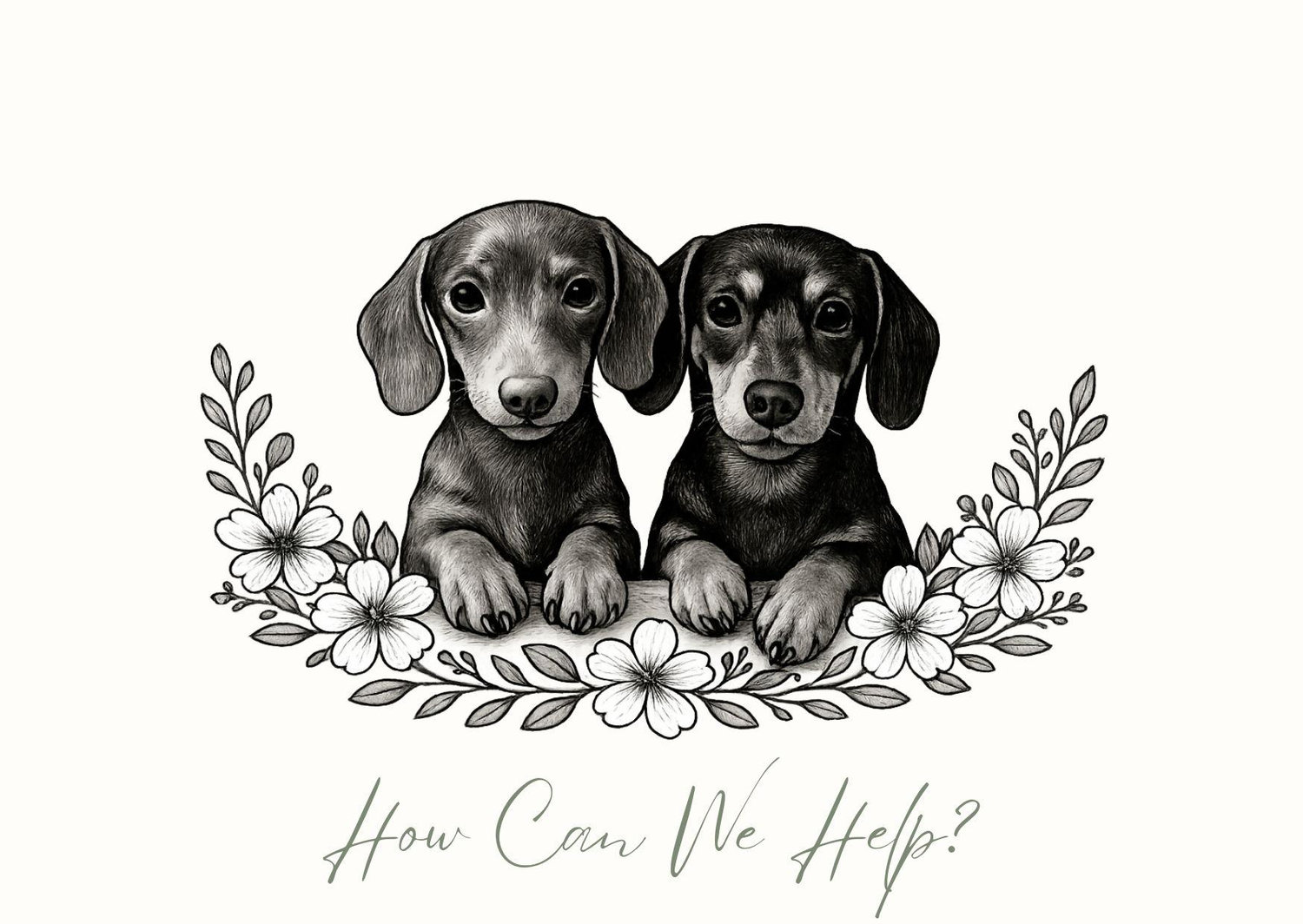 The Wedding Website of Amy Harland and Joe Disney