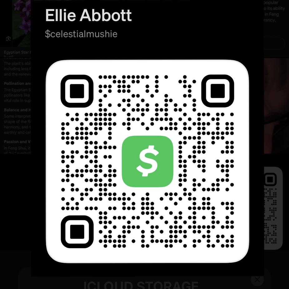 Here’s the cashapp for those of you that asked for some way to send money, this is where you can send it to fund the wedding/honeymoon or wedding gifts! All of these are very appreciated!