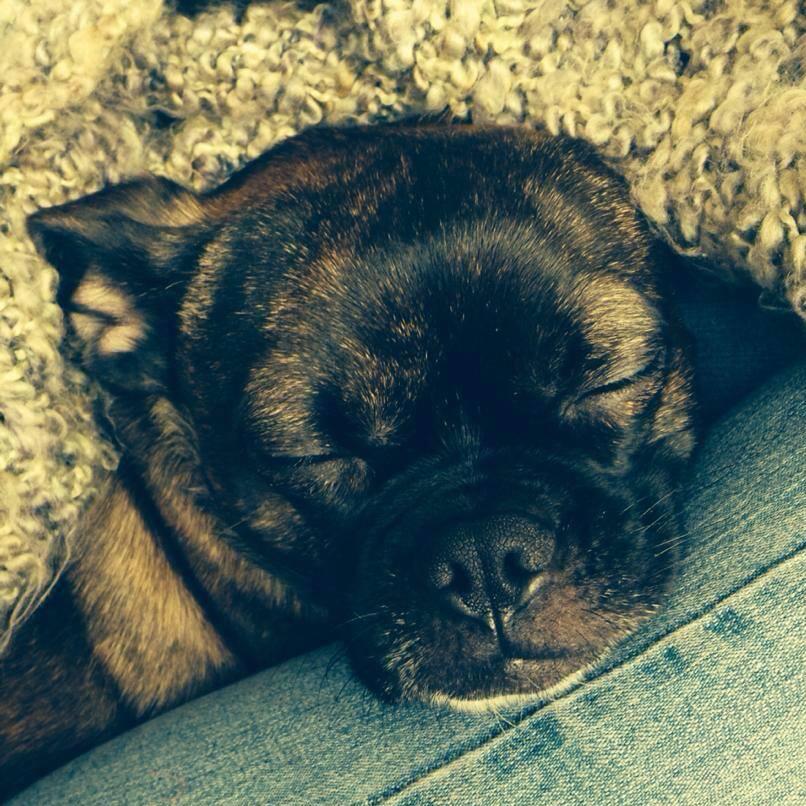 our baby girl