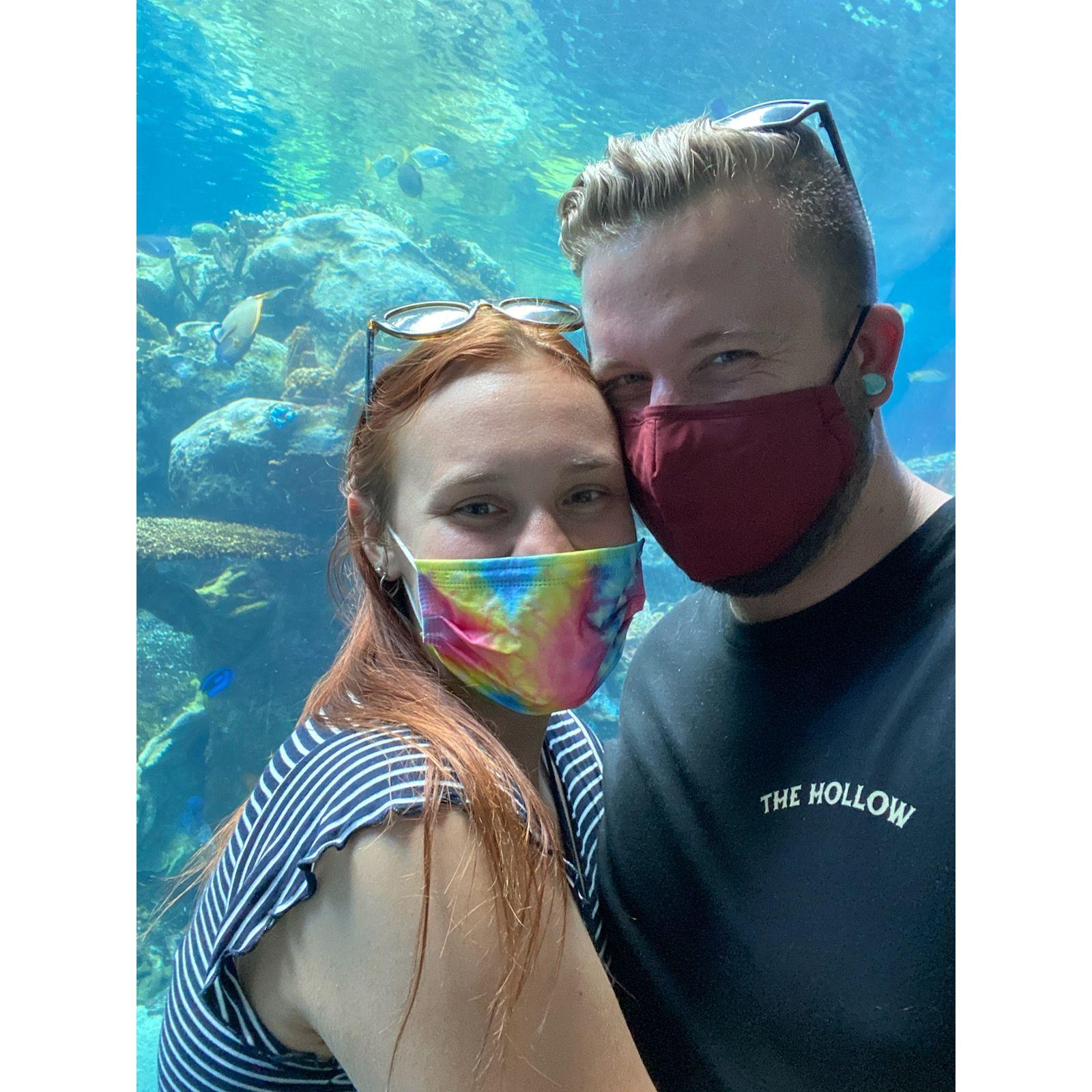 One of our first dates! Aquarium of the Pacific. June 28th 2021!