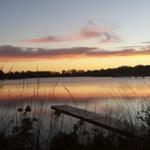 Gray's Lake Park