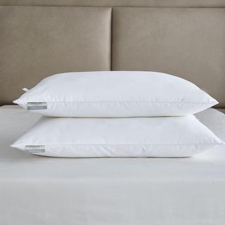 Brrr Pro Cooling TENCEL™ Lyocell Blend Pillows, Set of 2