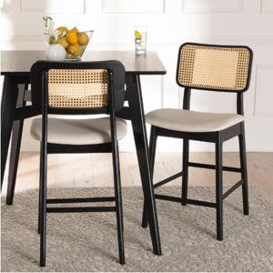 Dannon Mid-Century Modern Counter Stool, Set of 2