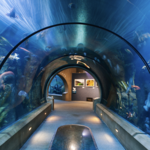 Oregon Coast Aquarium