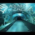 Aquarium of the Pacific