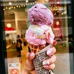 Jeni's Splendid Ice Creams