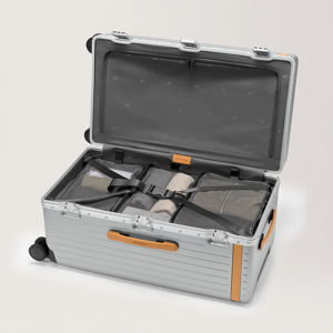 Trunk – Hybrid Silver/Tan