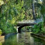 Scenic Boat Tour