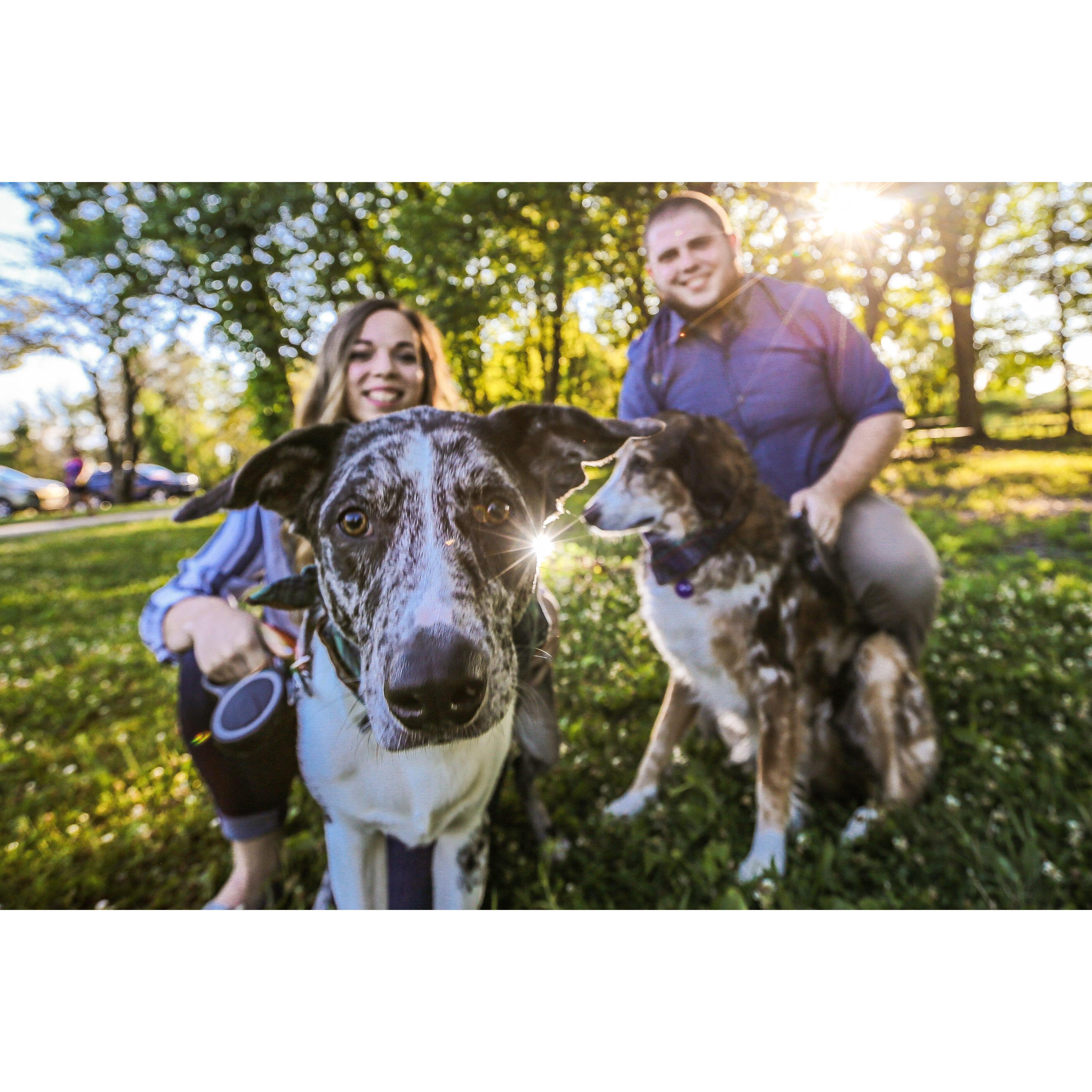 Engagement Pictures