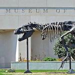 Museum of the Rockies
