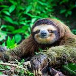 Manuel Antonio National Park Guided Tour