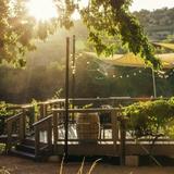 Page Springs Cellars Tasting Room & Bistro