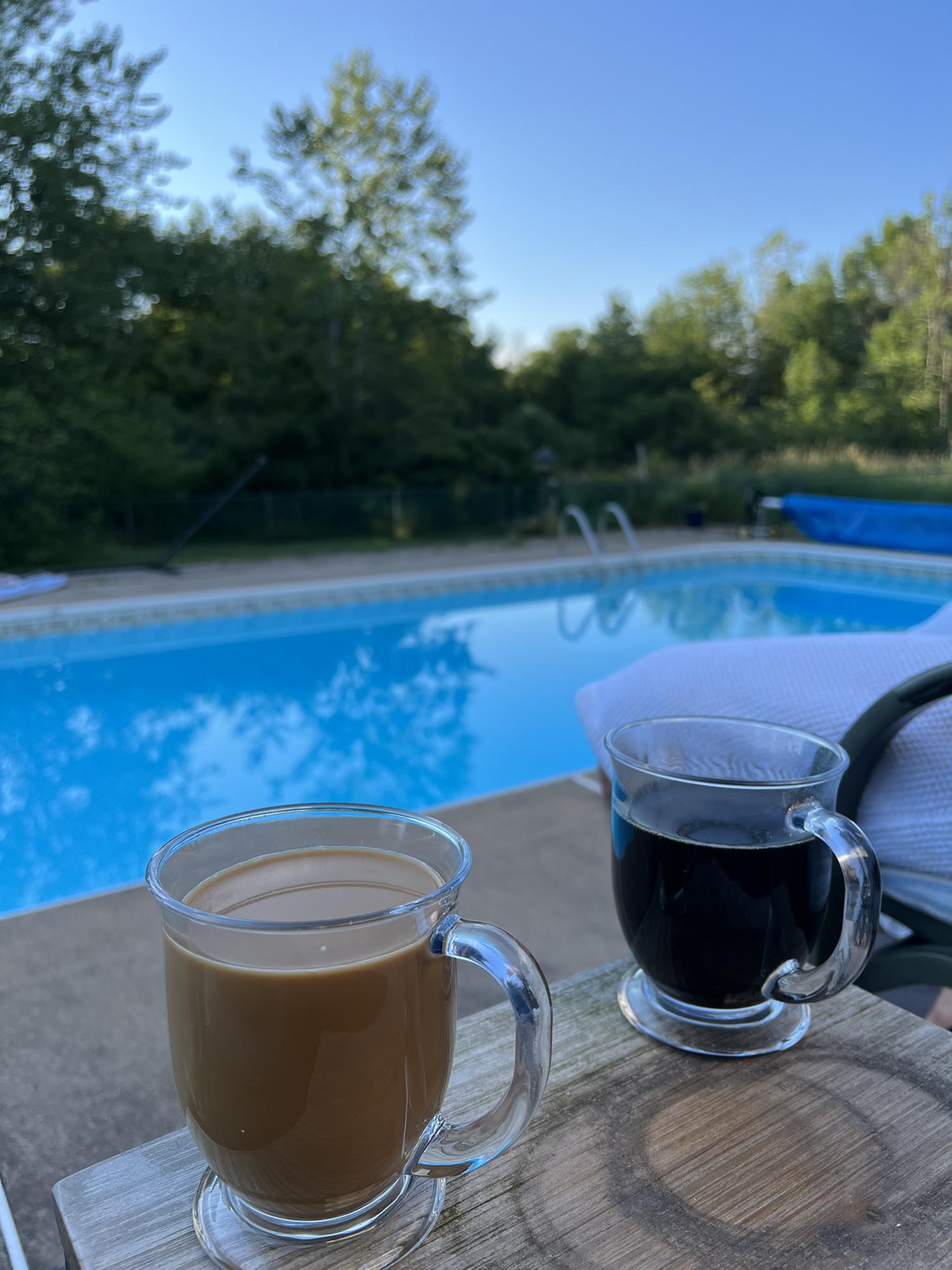 Morning coffee in the backyard...highlight of the day!
