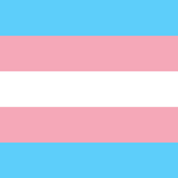 Sylvia Rivera Law Project- charitable contribution