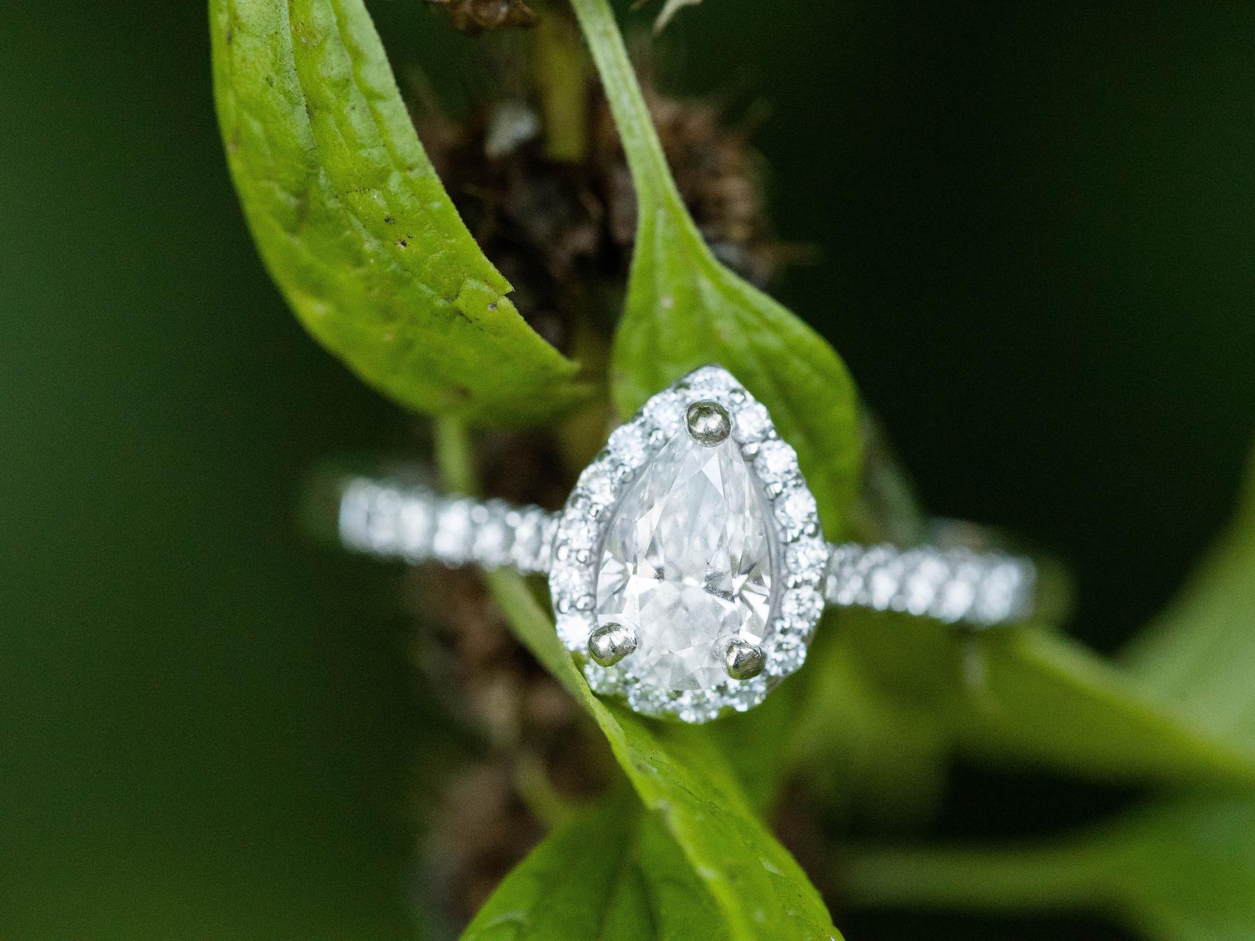 The Wedding Website of Renee Johnston and Bennett Wellsandt