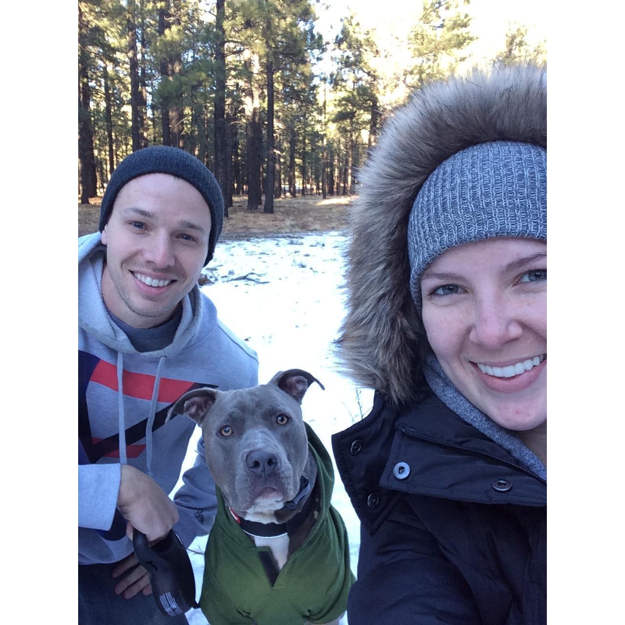 Asher pups first trip to the snow- December 18th 2016